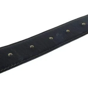 Celine | Accessories | 93145aq S1 Celine Belt Sulky Buckle  display picture 1